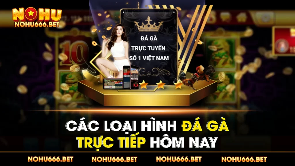 Đá gà trực tiếp  01